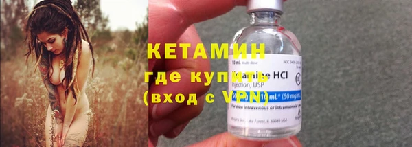 крисы Богородицк