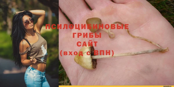 прущие крисы Богородск