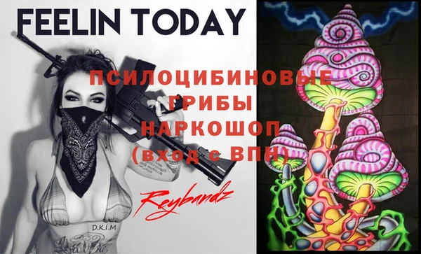 крисы Богородицк
