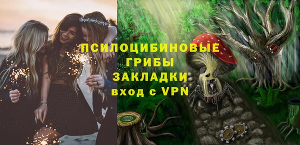 крисы Богородицк