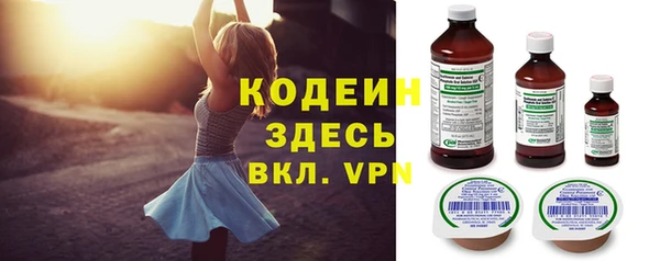 крисы Богородицк