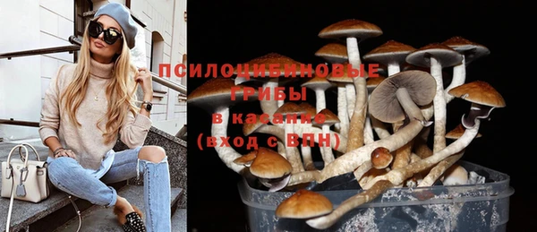 крисы Богородицк