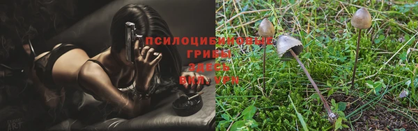 первитин Беломорск