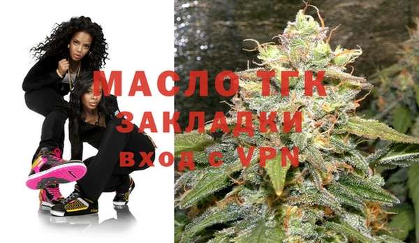 крисы Богородицк