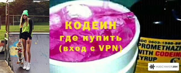 крисы Богородицк